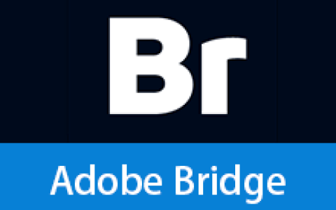 【Windows】Adobe Bridge 2026 v16.0.3.21（Br2026）直装版  – 创意资源管理工具