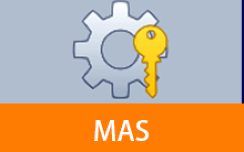 【Windows】Microsoft Activation Scripts(MAS) v3.11.0汉化版  – Windows/Office 激活工具
