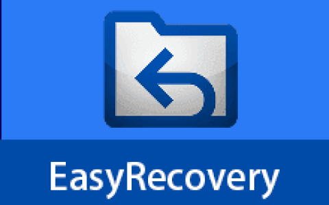 【Windows】EasyRecovery v13.0中文绿色版 – 数据恢复软件