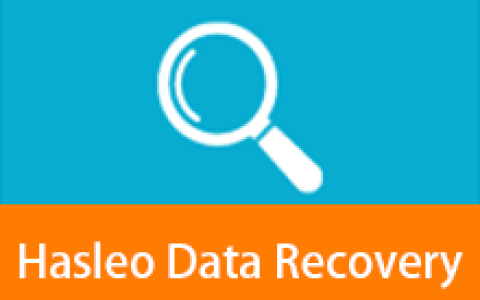 【Windows】Hasleo Data Recovery v6.8.2.0便携版 – 数据恢复软件