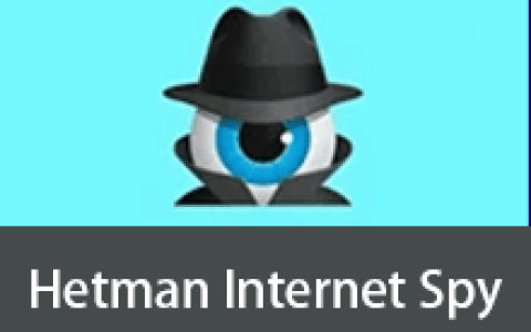 【Windows】Hetman Internet Spy(浏览器数据恢复工具) v4.1便携版 – 数据恢复软件