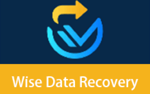 【Windows】Wise Data Recovery Pro v6.2.2.520 便携版 – 数据恢复软件