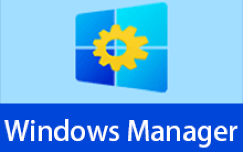 【Windows】Windows Manager 10/11 v2.4.0 便携版 – Win10/11优化大师
