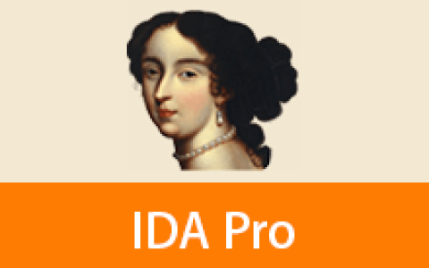 【Windows】IDA Pro 9.3 汉化版 – 反汇编逆向工具