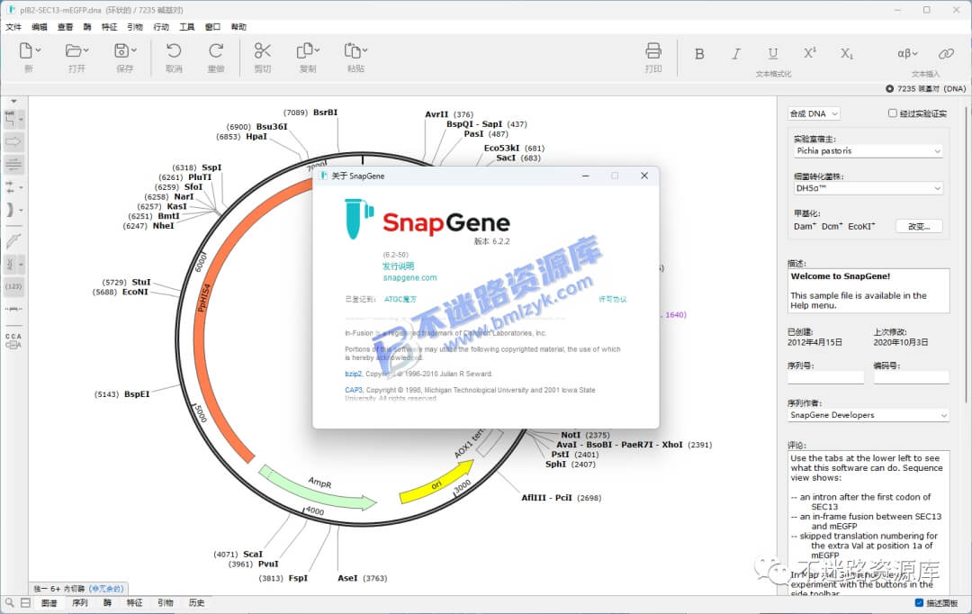 【Windows】SnapGene 6.2.2安装版 – 分子生物学序列分析软件