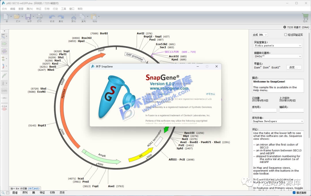 【Windows】SnapGene 6.0.2安装版 – 分子生物学序列分析软件