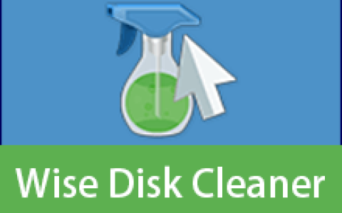 【Windows】Wise Disk Cleaner v11.3.9.859 便携版 – 系统清理工具