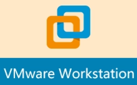 【Windows】VMware Workstation 16.2.4 直装版 – 专业虚拟机软件